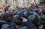 София - Търг за емблемата на ЦСКА