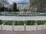Варна - Коноп на центъра