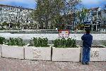 Варна - Коноп на центъра