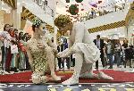 Звезди от CIRQUE DU SOLEIL показаха акробатично шоу в столичен мол