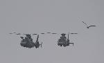 Варна - 100 години Морска авиация