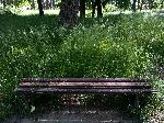 Варна - Обрасла трева в Аспарухов парк