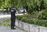 София - Счупен клон