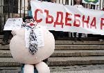 София - Протест