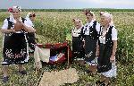 с. Странско - Жътва