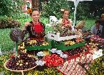 Кюстендилци празнуват за десети път  Празника на черешата