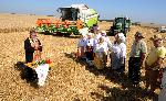 Село Гарван, Силистра - Кампания по жътва на пшеница