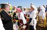 Село Гарван, Силистра - Кампания по жътва на пшеница