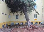 Ураган и силен дъжд връхлетяха Гоце Делчев и околността