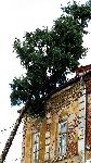 Луковит - Последици след силна буря