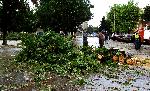 Луковит - Последици след силна буря