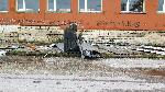 Луковит - Последици след силна буря