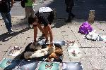 София - Протест на природозащитници