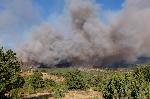 Голям горски пожар бушува край село Мечкул