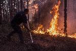 Огнената стихия в Кресненското дефиле унищожи над 15000 дка