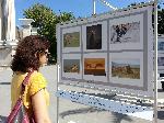 Варна - Изложба фотография