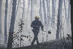 Пожар избухна в близост до стадион "Берое"