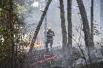 Стара Загора - Пожар в парк Аязмото