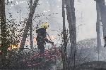 Стара Загора - Пожар в парк Аязмото