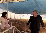 Село Караново - Проверка на „Източна могила" и Селищна могила