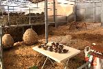 Село Караново - Проверка на „Източна могила" и Селищна могила