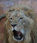 Варна - Зоокът