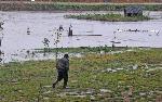 Село Равнец, Бургас - Бедствено положение след наводнение