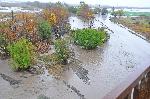 Село Равнец, Бургас - Бедствено положение след наводнение