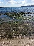 Варна - Вятър край морето