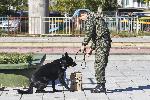 София, Нови Искър - Демонстрация на Военна полиция