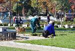 София – Предстоящо възстановяване на Войнишкия паметник пред НДК