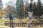 София - Монтаж на бронзовия лъв от мемориала на Първи и Шести пехотен полк