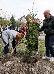 Адвокати и ученици засадиха дръвчета във Варна