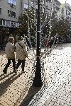 София - Коледна украса