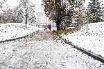 До 20 см сняг се очаква днес в столицата