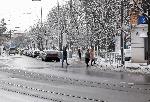 София - Опасна пешеходна пътека