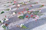 Благоевград - Бдение в памет на убита на пешеходна пътека студентка