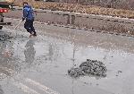 София - Катастрофи на булевард "Рожен"