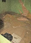 Село Окорш, Дулово - Убийство на Айшегюл Салиева