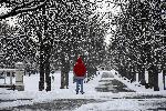 София - Сняг