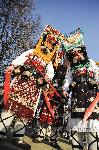 Перник - Маскараден фестивал "Сурва"