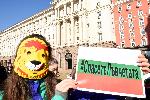 София – Протест в подкрепа на разградските лъвчета