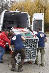 София - Изпращане на лъвчета за Холандия