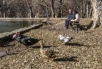 Благоевград - Парк "Бачиново"