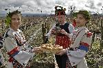 Село Свирачи, Ивайловград - Трифон Зарезан 2018