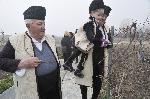 Дипломати зарязаха лозята край село Сусам