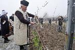 Село Сусам, Хасково - Зарязване на лозя