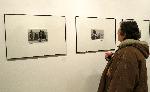Варна - Изложба Йордан йорданов - Юри