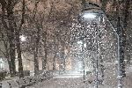 Сняг покри София