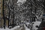 София - Снежна обстановка